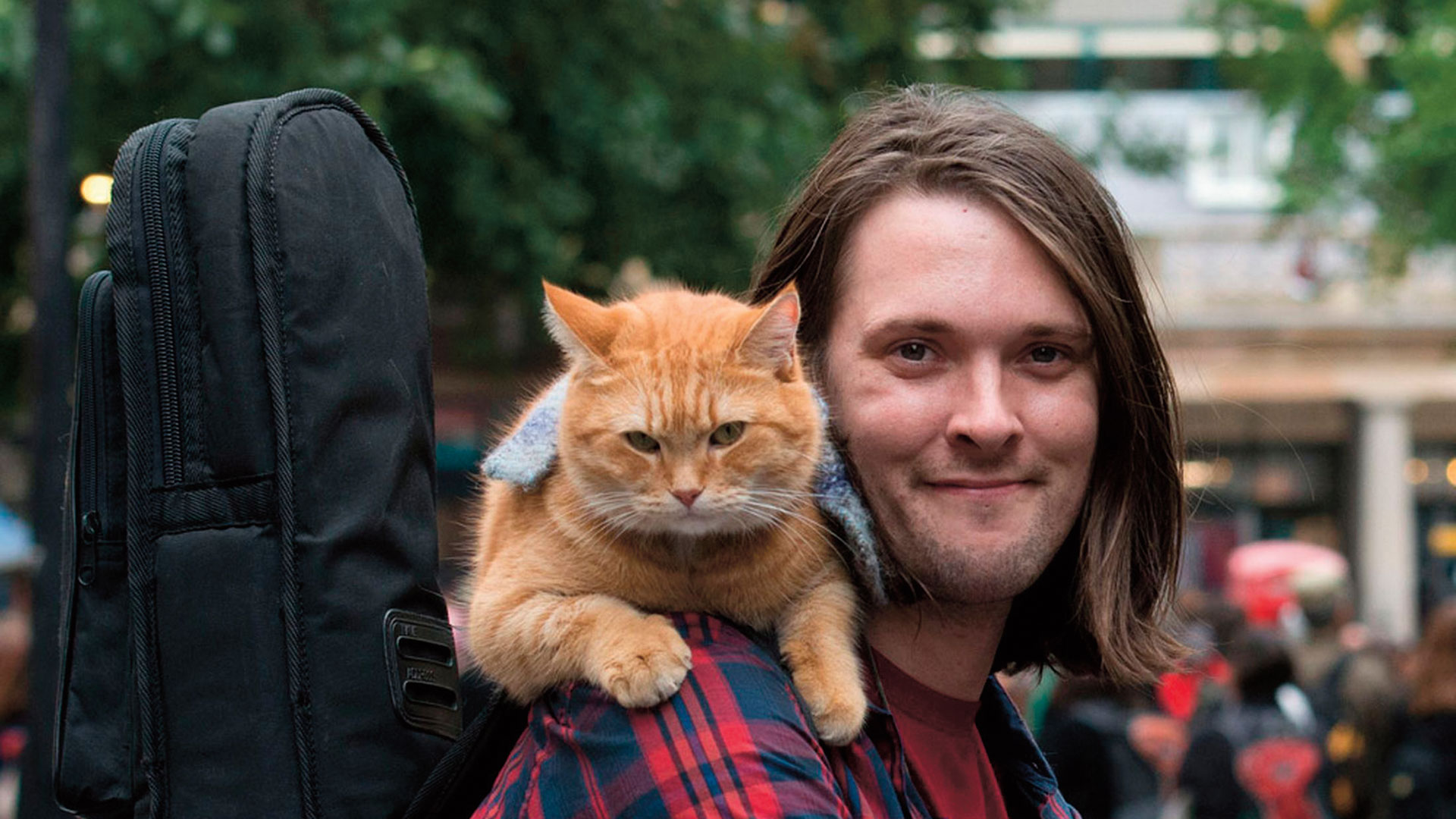 You are currently viewing Madde Bağımlısı James Bowen’ın Hayatını Değiştiren Dost Canlısı Kedi Bob