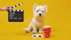 Hayvanseverlerin Favorisi: Köpekli Filmler